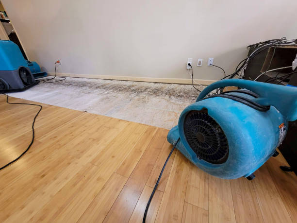 Professional Sewage Cleanup technician working in Duncanville, TX